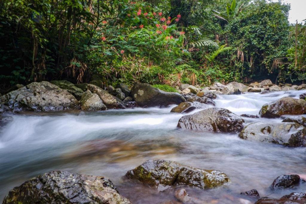 Hotel Parama Puncak Luaran gambar